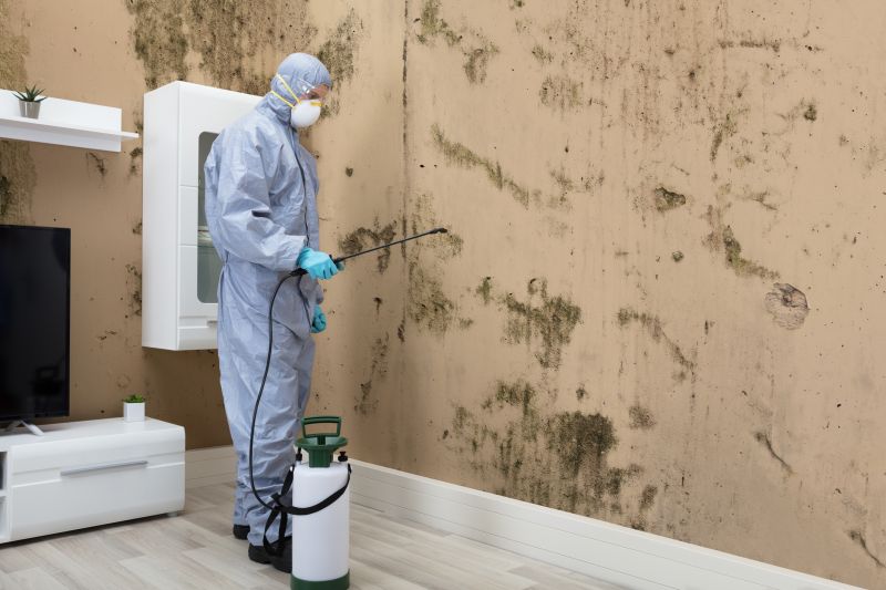 Mold Control in Pompano Beach, FL