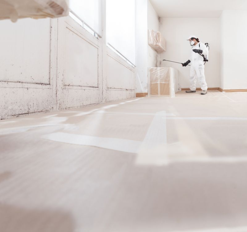 Mold Restoration in Essex County, NJ