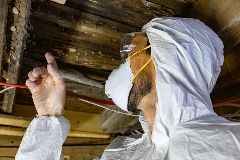 Mold Inspection Services for Properties