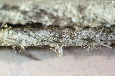Asbestos Service in Monmouth County, NJ