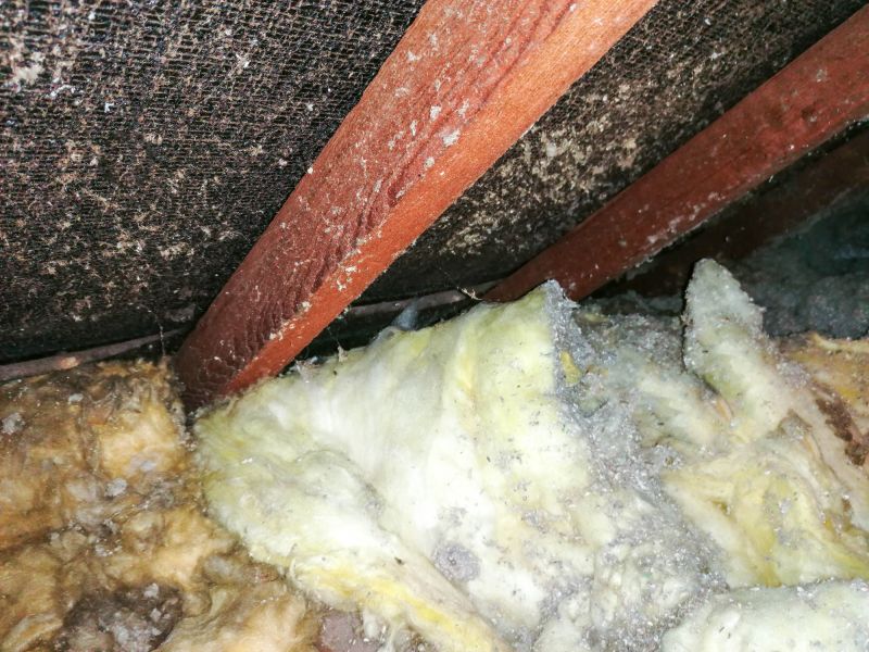 Basement Asbestos Removal in Somerset County, NJ