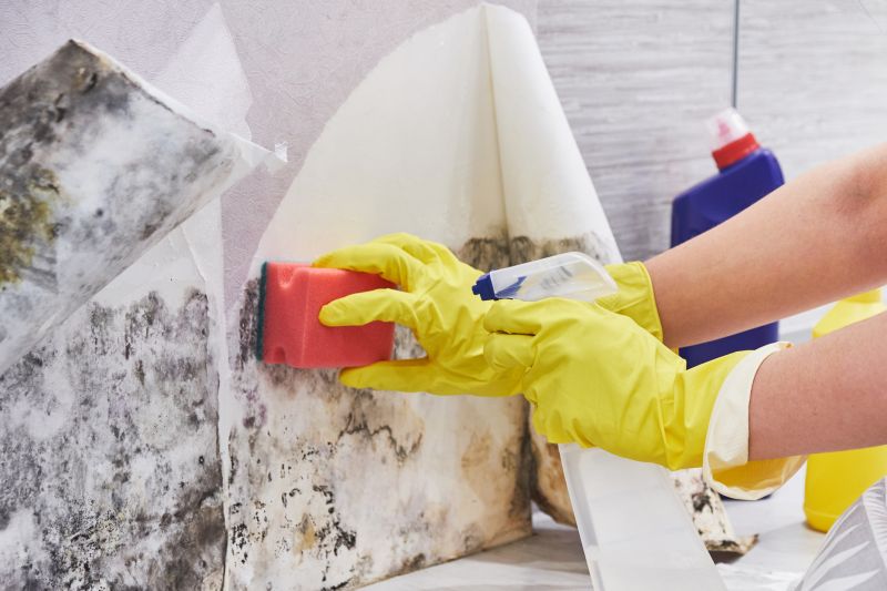 Black Mold Remediation in Boca Raton, FL