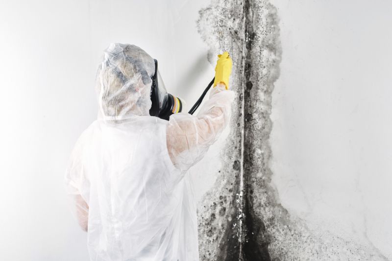 Black Mold Remediation in Fort Worth, TX