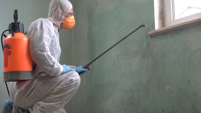 Mold Abatement in Jupiter, FL