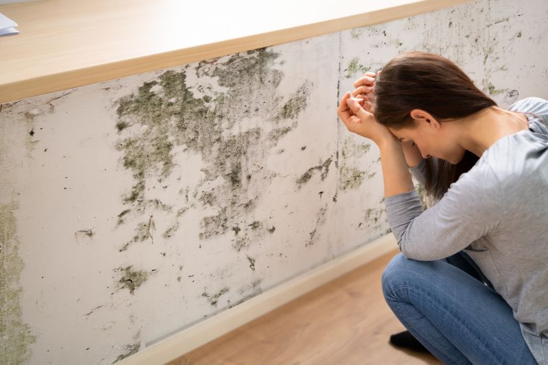 Mold Detection in Pompano Beach, FL
