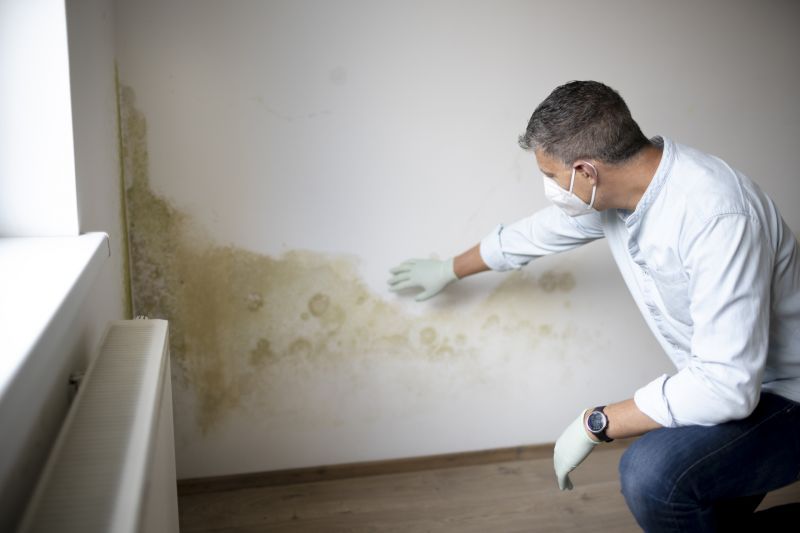 Mold Inspection Costs Explained — Cost of Mold Inspection