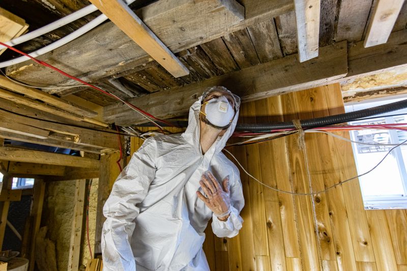 Mold Inspection Costs Explained — Cost of Mold Inspection
