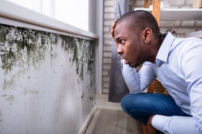 Mold Inspection in Residential Spaces