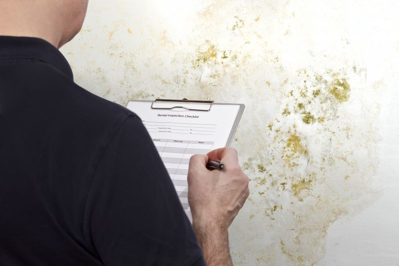 Commercial Mold Assessments
