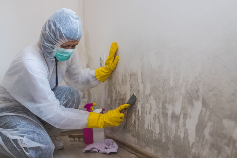 Mold Damage Repair