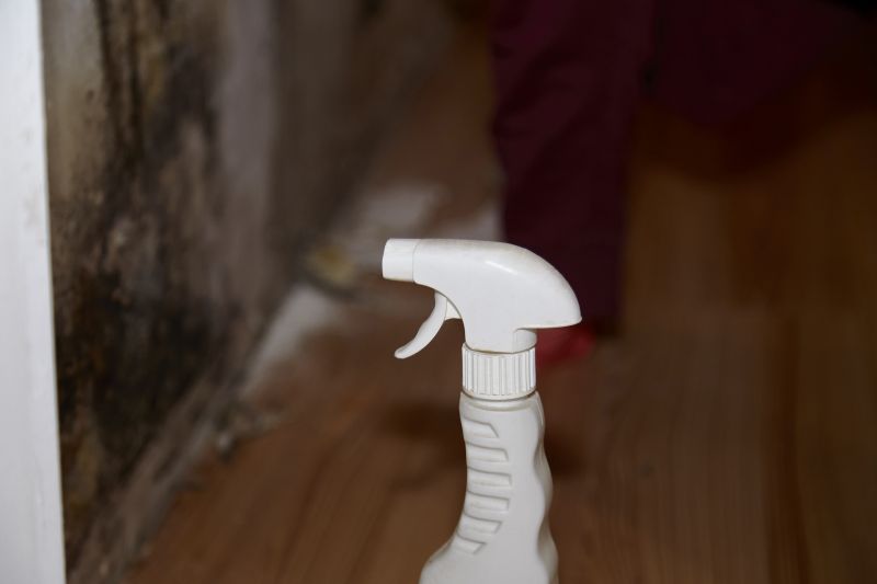 Mold Restoration in West Palm Beach, FL