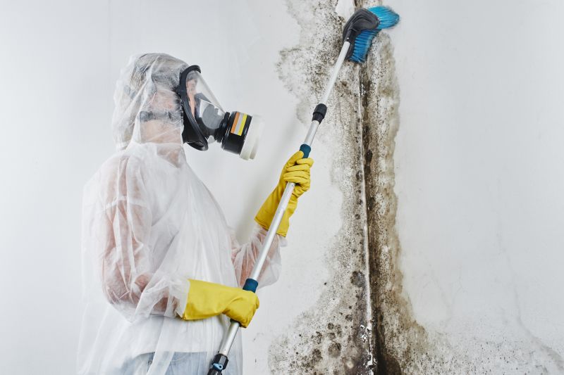 White Mold Mitigation in Bergen County, NJ