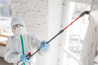 Get Mold Remediation Services!